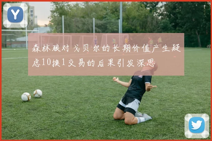 森林狼对戈贝尔的长期价值产生疑虑10换1交易的后果引发深思