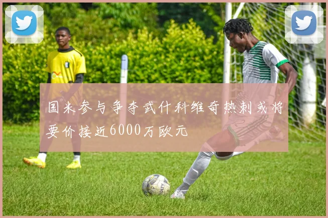 国米参与争夺武什科维奇热刺或将要价接近6000万欧元